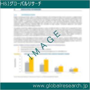 グローバルリサーチ調査レポートのイメージ